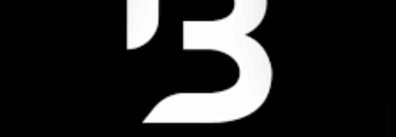 The Bright Academy Badin