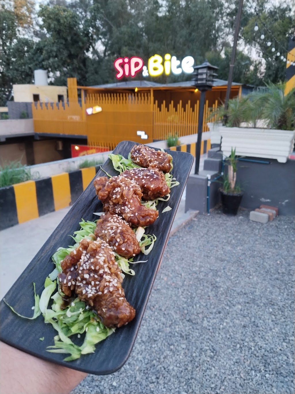 Sip & Bite