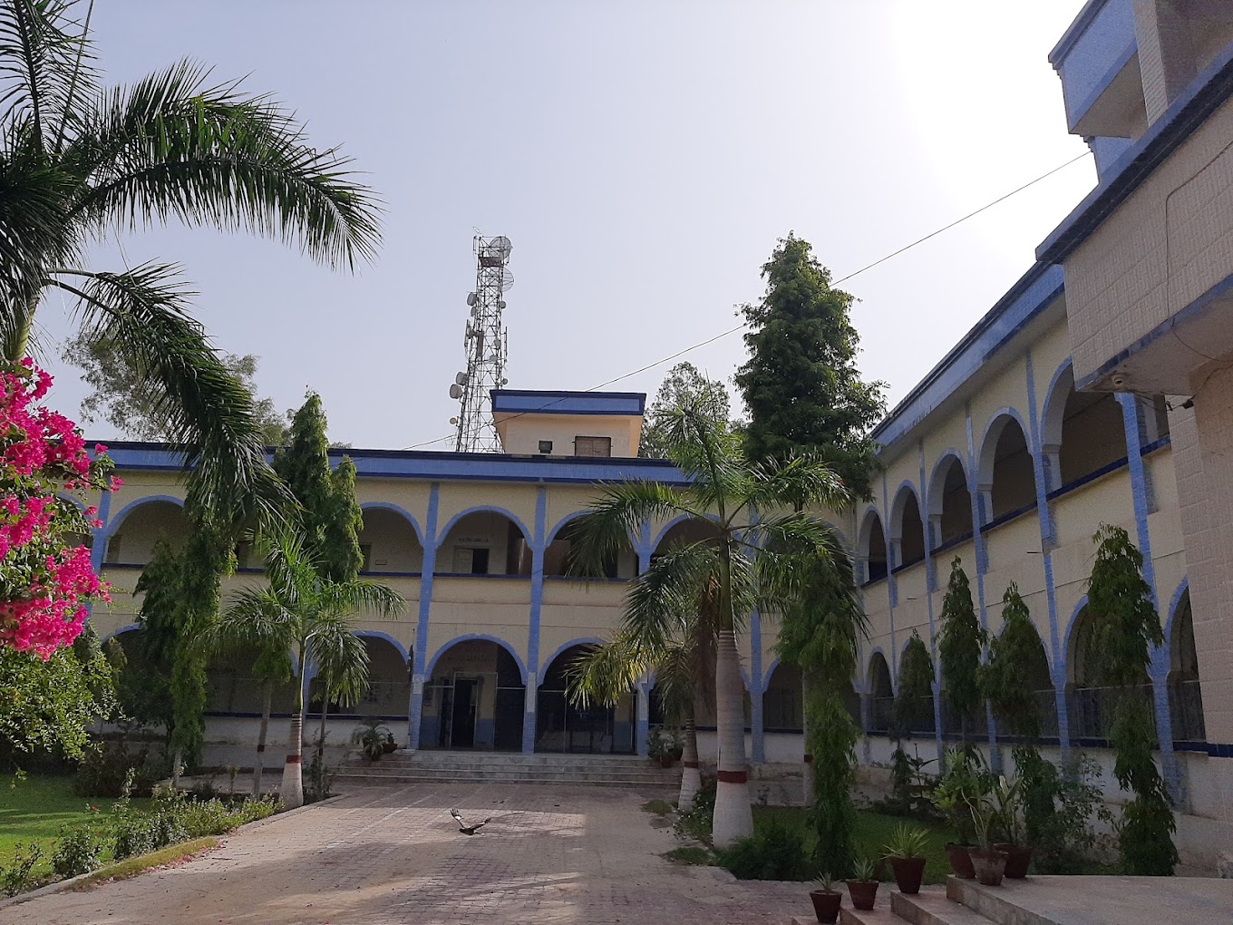 Government Degree College Ghotki