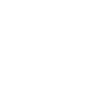 cat-icon
