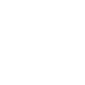 cat-icon