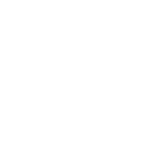cat-icon