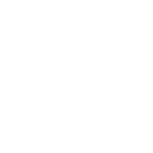 cat-icon