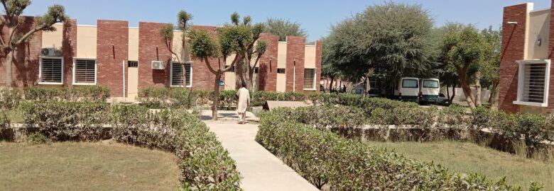 Sindh Agriculture University