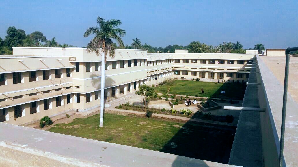Sindh Agriculture University