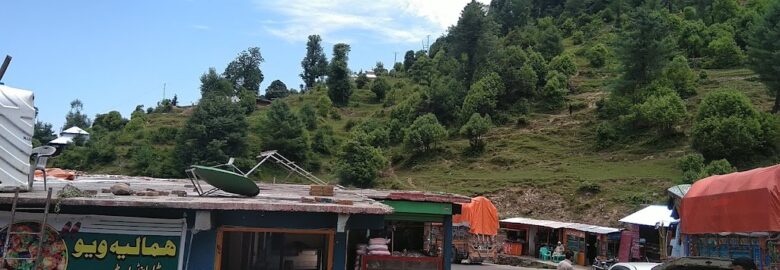 Himalaya View Hotel and Restaurant