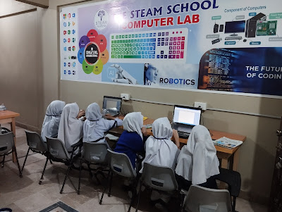 The STEAM School