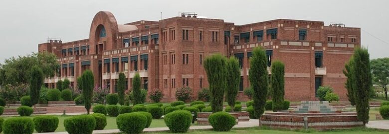 International Islamic University Islamabad (IIUI)