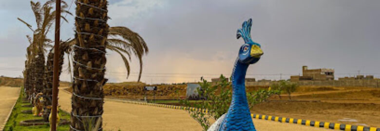 MOUNTAIN HOMES JAMSHORO