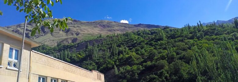 Uswa Public School, Nagar Khas