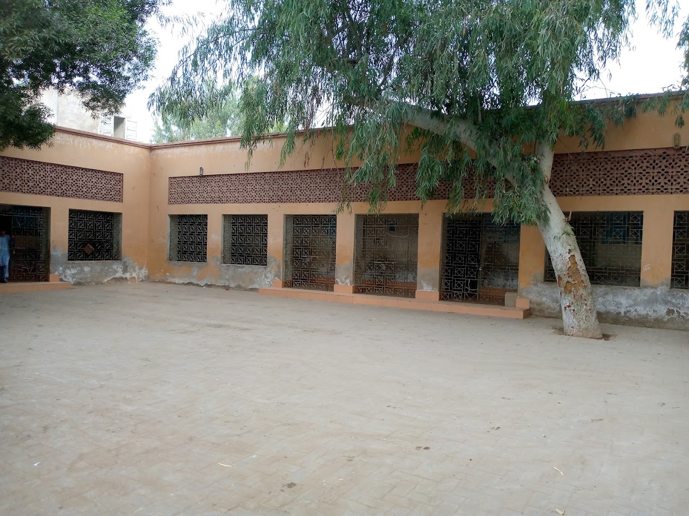 Government Boys Primary School Arzi Bhutto Sijawal Junejo Qambar Shahdadkot