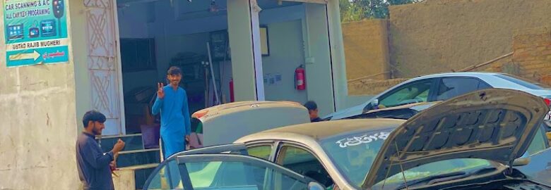 Zoya Electronic Car Diagnose & A.C