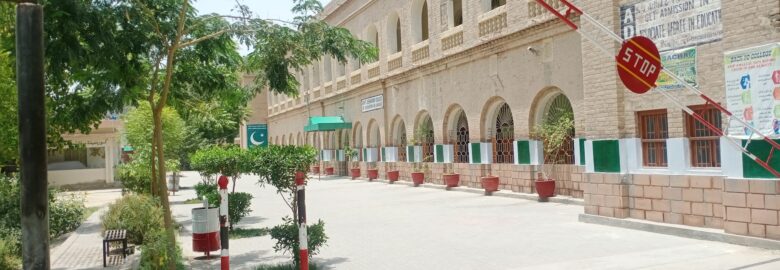Elementary College Of Education