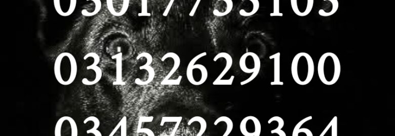 Army dog center pakistan 03132629100