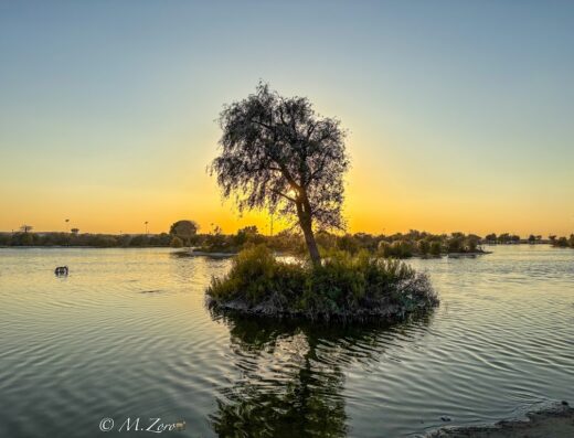 Al Wathba Lake