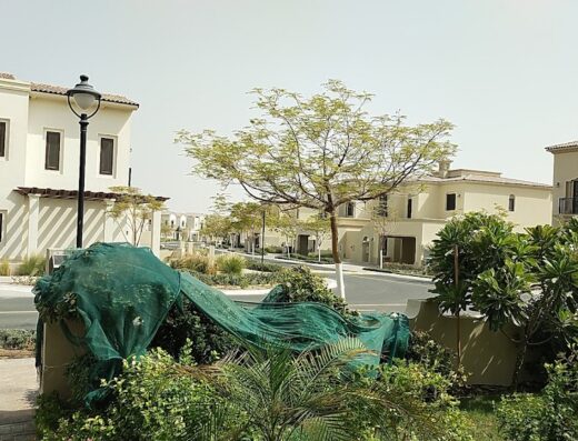 Aseel | Arabian Ranches