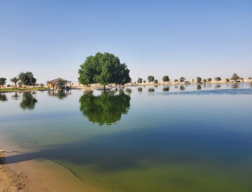 بحيرة الوثبة غير المالحة