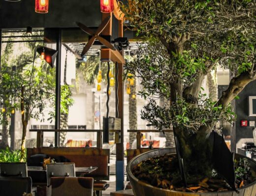 Ozo Restaurant