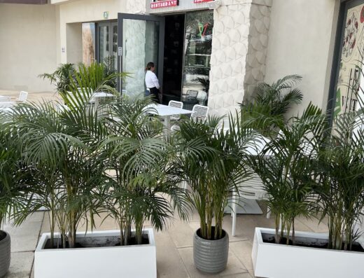 Ventuno Restaurant
